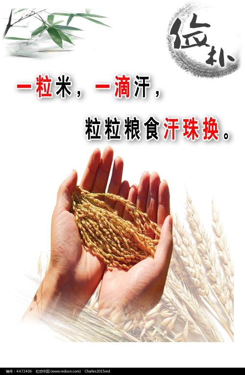 征信报告需多少钱